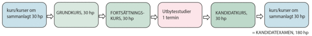 Kurs/kurser om sammanlagt 30 högskolepoäng, Grundkurs, Fortsättningskurs, Utbytesstudier 1 termin, Kandidatkurs, Kurs/kurser om sammanlagt 30 högskolepoäng = kandidatexamen 180 högskolepoäng