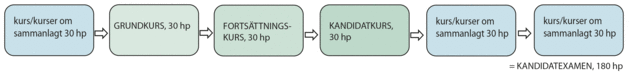 Kurs/kurser om sammanlagt 30 högskolepoäng, Grundkurs, Fortsättningskurs, Kandidatkurs, Kurs/kurser om sammanlagt 30 högskolepoäng, Kurs/kurser om sammanlagt 30 högskolepoäng = kandidatexamen 180 högskolepoäng