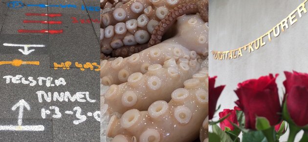 Text on a road, an octopus and a banner saying digital cultures.