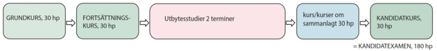 Grundkurs, Fortsättningskurs, Utbytesstudier 2 terminer, Kurs/kurser om sammanlagt 30 högskolepoäng, Kandidatkurs = kandidatexamen 180 högskolepoäng