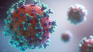 Coronavirus. Foto.