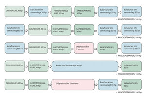 Illustration av utbildningsvägar där olika kursblock sätts samman till en kandidatesxamen.