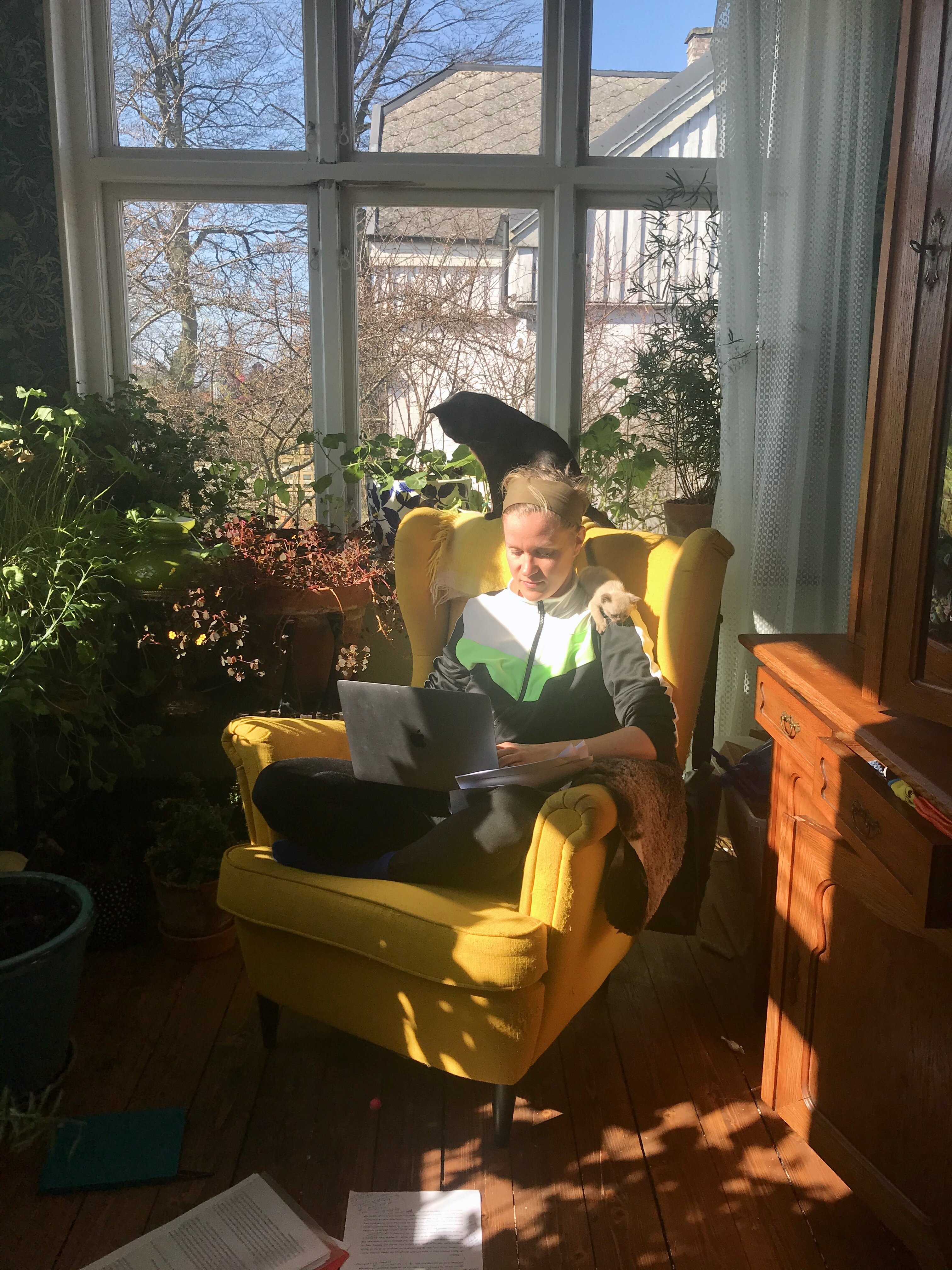 En person sitter i en gul fåtölj i ett rum med många växter. Två katter klättrar på fåtöljen.