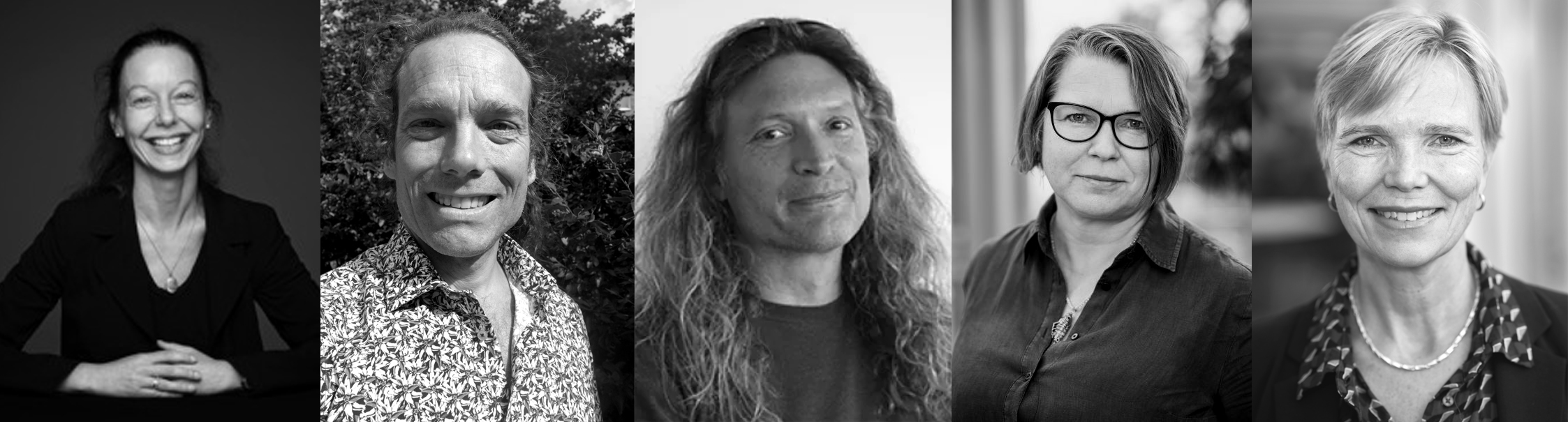 Portraits of five researchers.